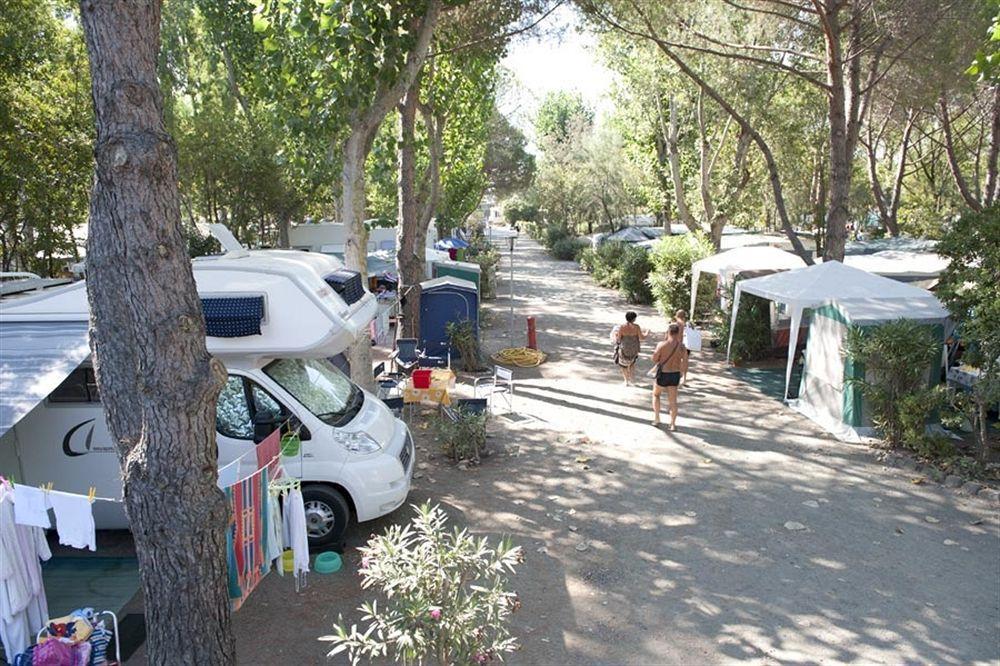 New Camping Le Tamerici Cecina  Εξωτερικό φωτογραφία