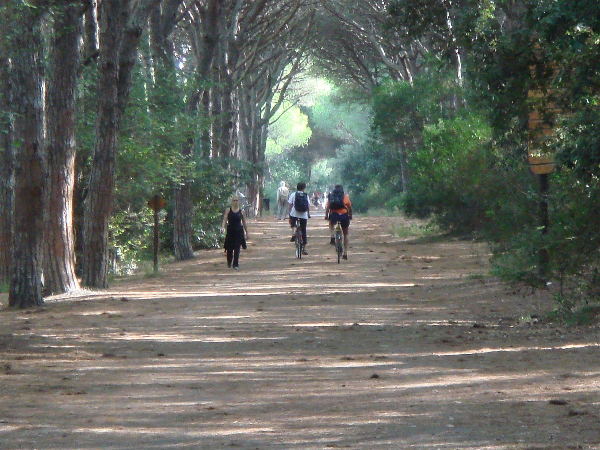 New Camping Le Tamerici Cecina  Εξωτερικό φωτογραφία